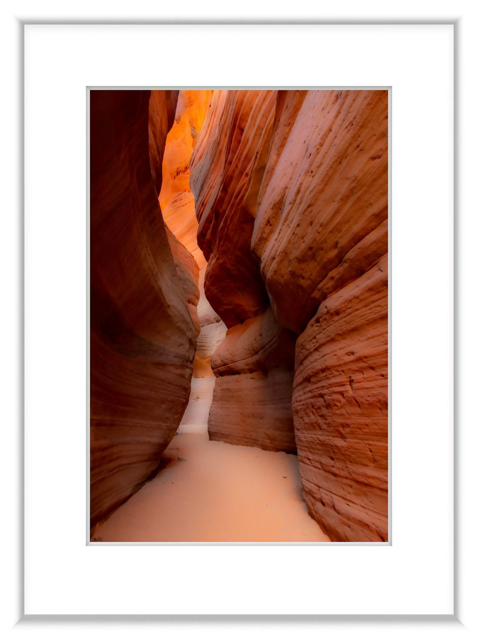 MSC-D850-NatlParks-April2023-0058-HDR.jpg