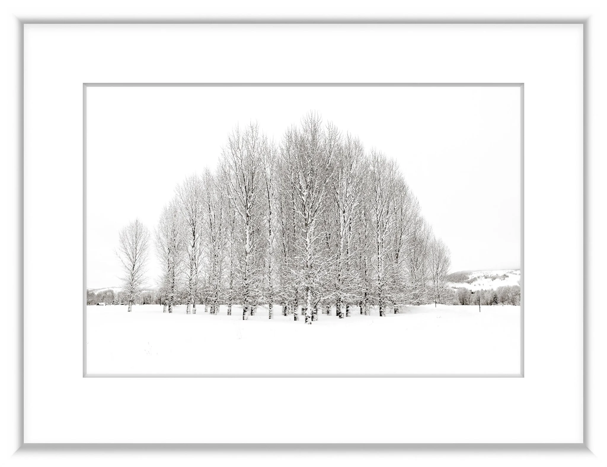 MSC-D850-JH-Jan2019-4328-Edit-2-2.jpg