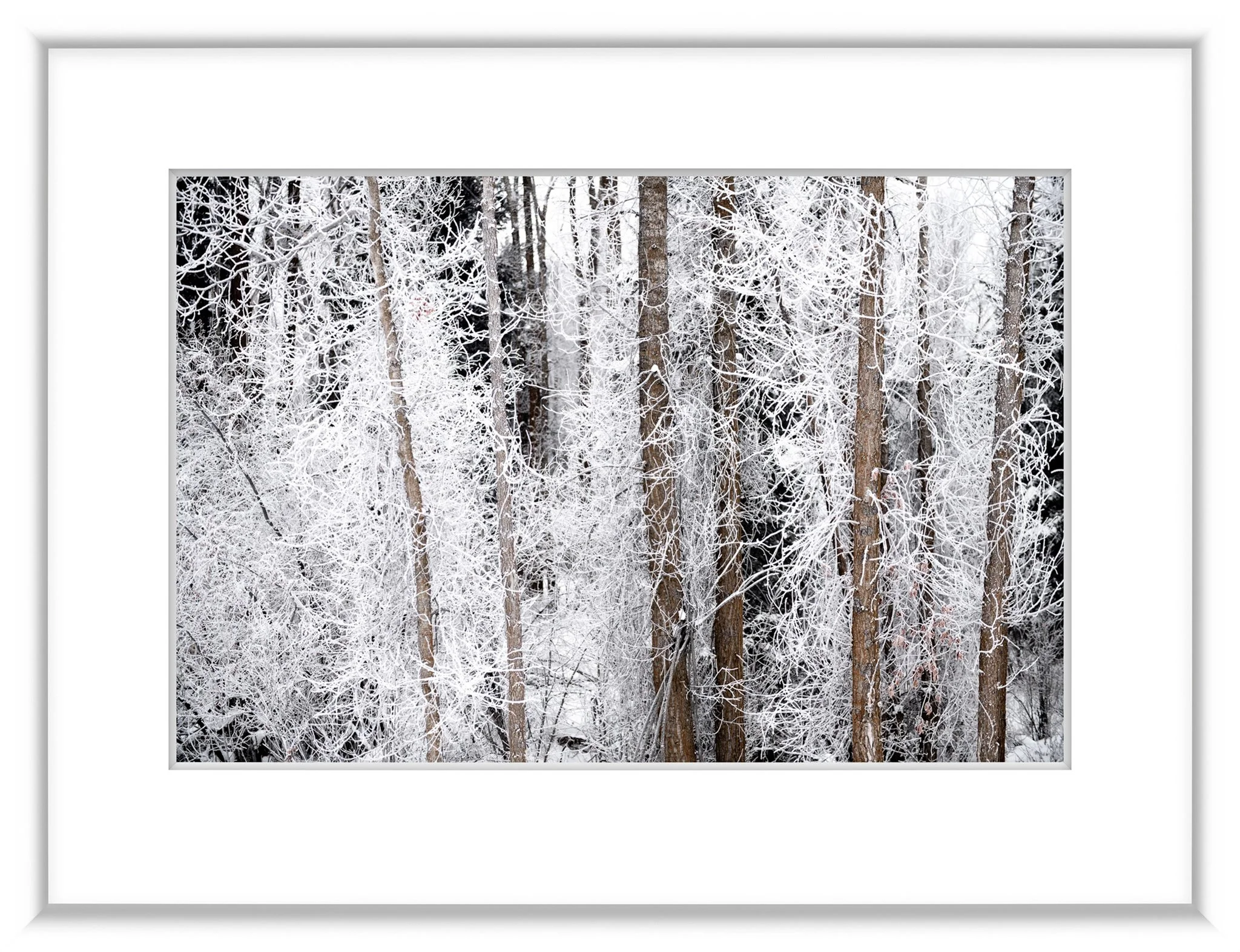 JHFramed (22 of 43).jpg