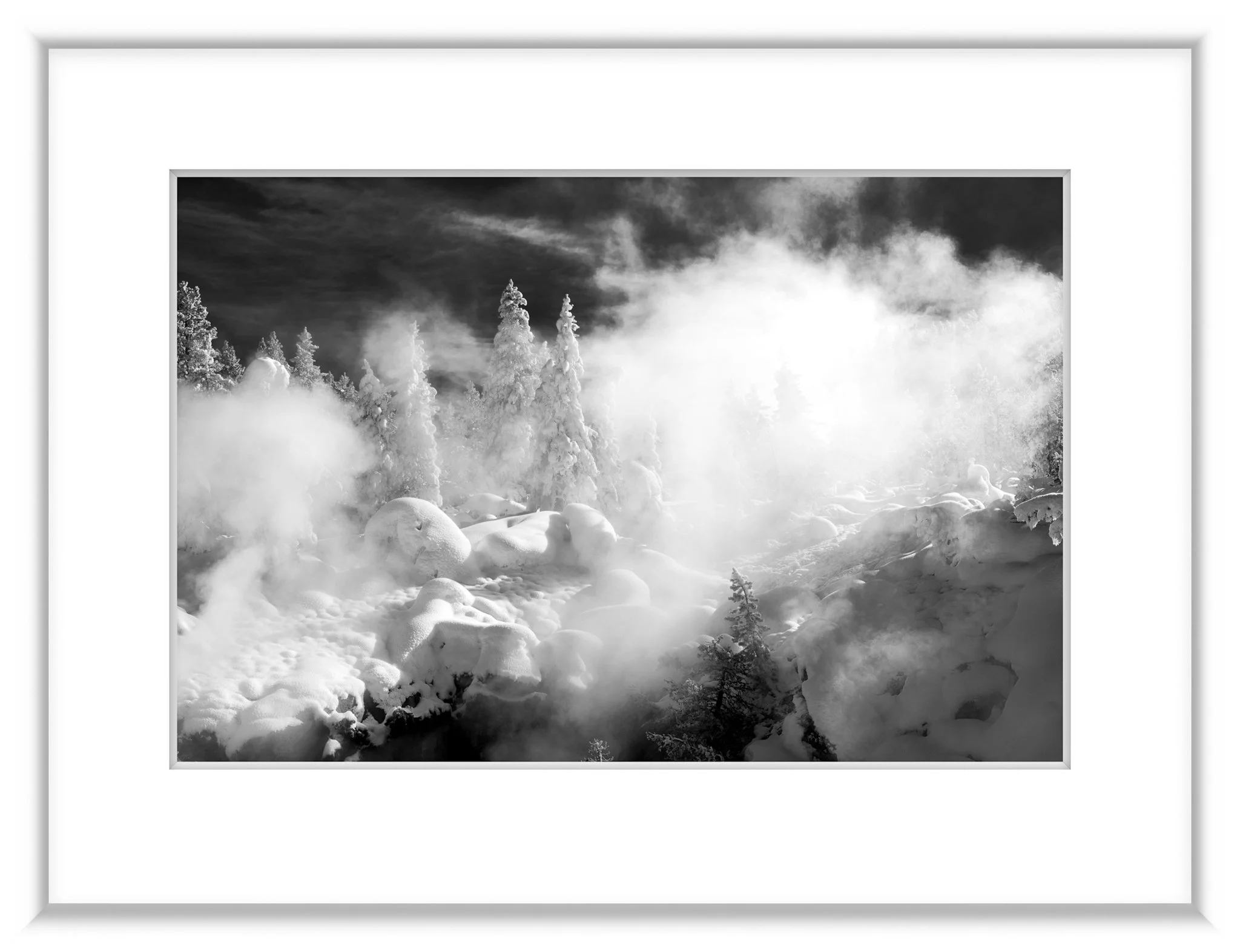 MSC-D850-YNP2019-Jan2019-4994-2.jpg