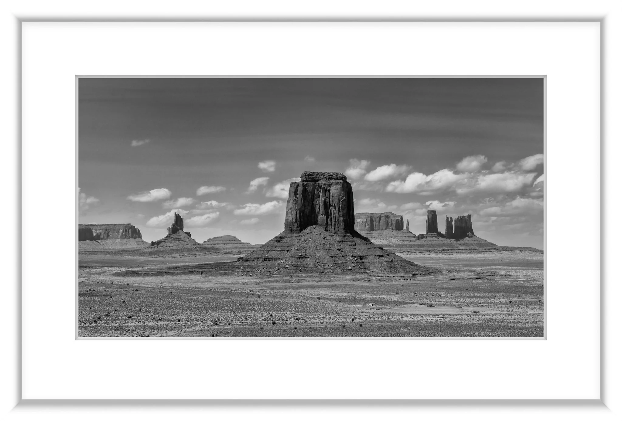 MSC-D850-NatlParks-April2023-0704-Edit-Edit.jpg