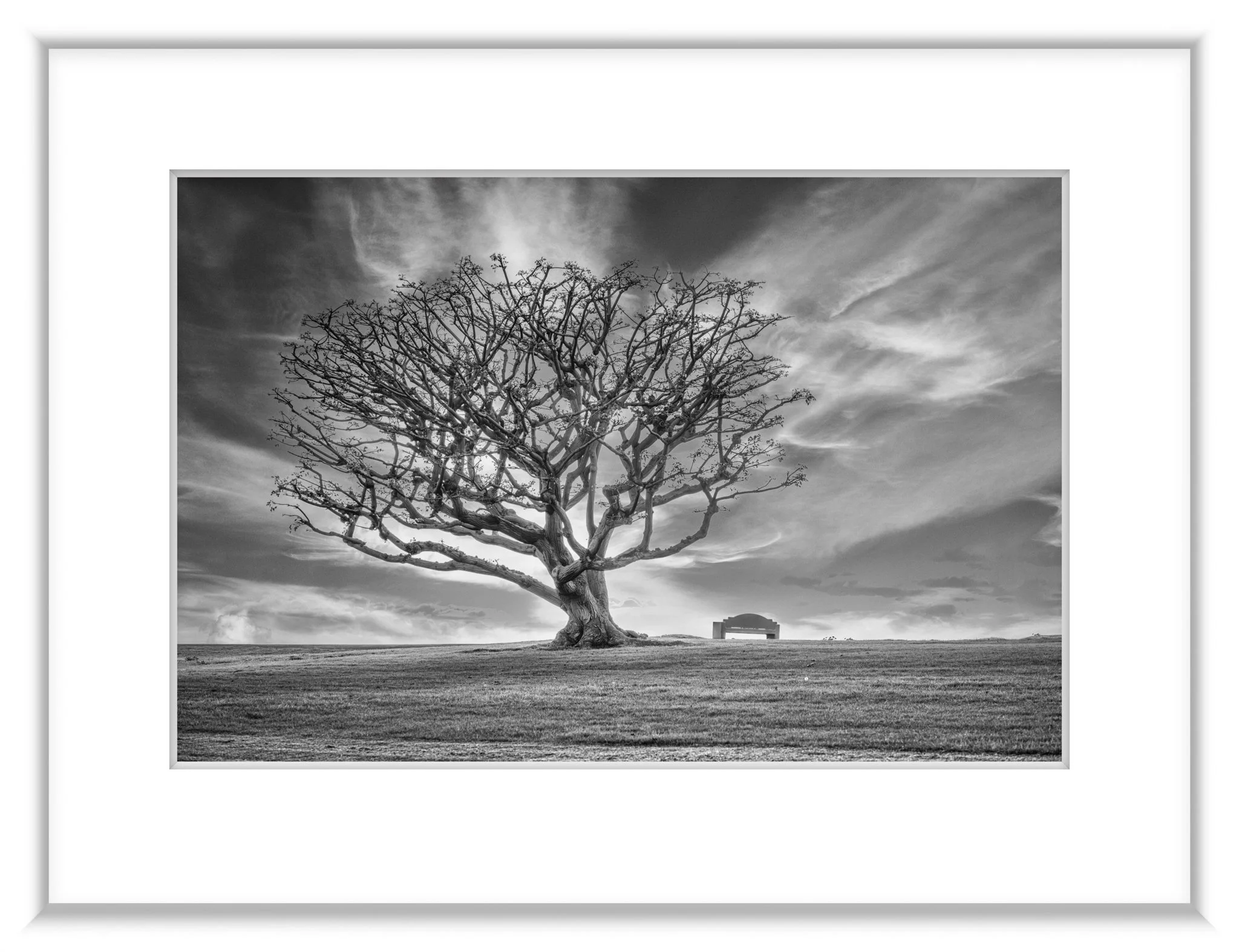 MSC-D850-CA-Jan2023-8646-Edit-Edit.jpg