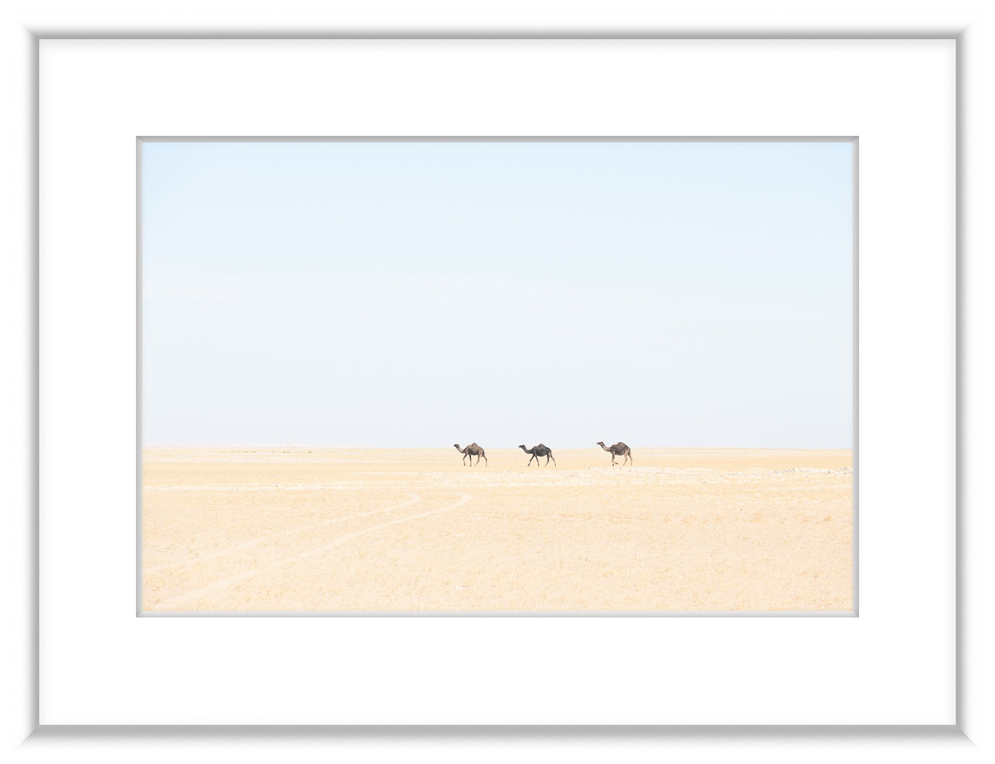 MSC-D850-Oman-Oct2018-3410-2.jpg