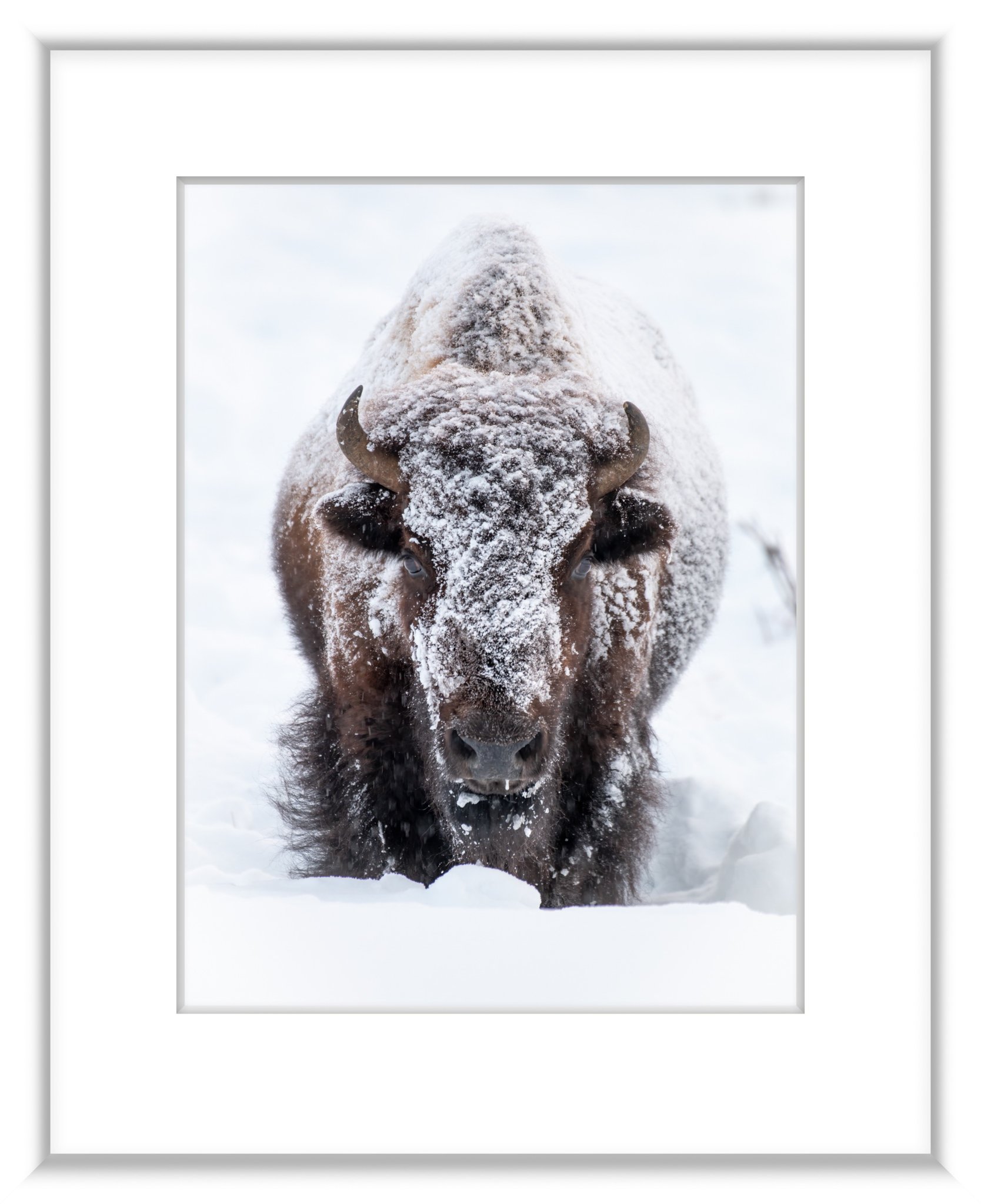 MSC-D850-YNP-Feb2021-4777-Edit-2.jpg