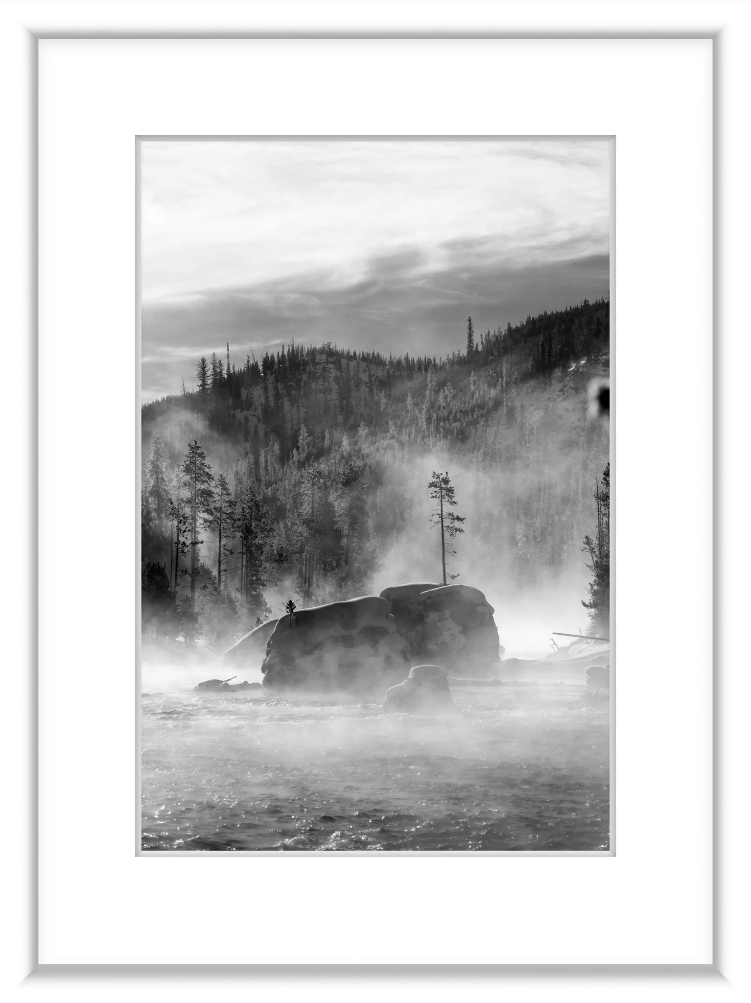 MSC-D850-YNP-Jan2022-6415-2.jpg