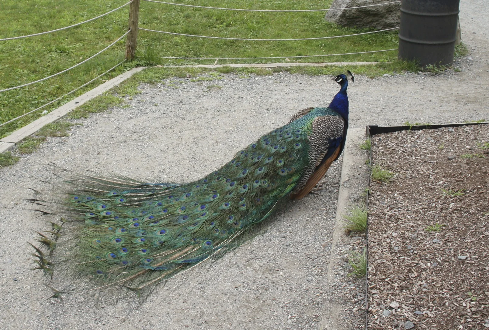 DSC02348 - Version 2.jpg