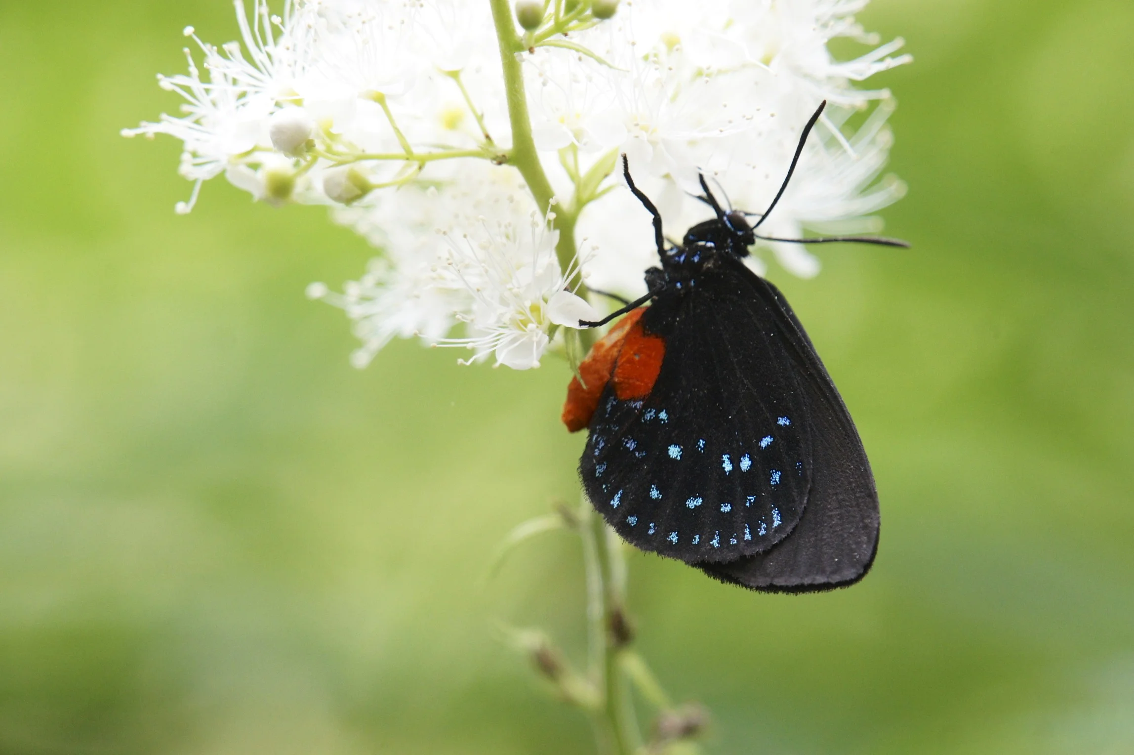 DSC02399 - Version 2.jpg