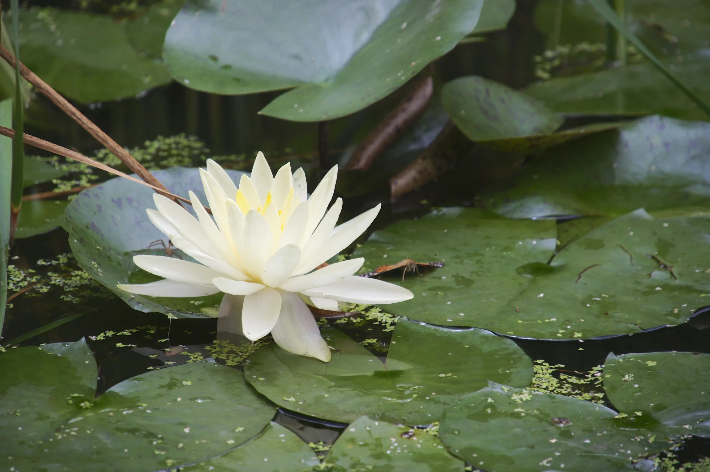DSC02415 - Version 2.jpg