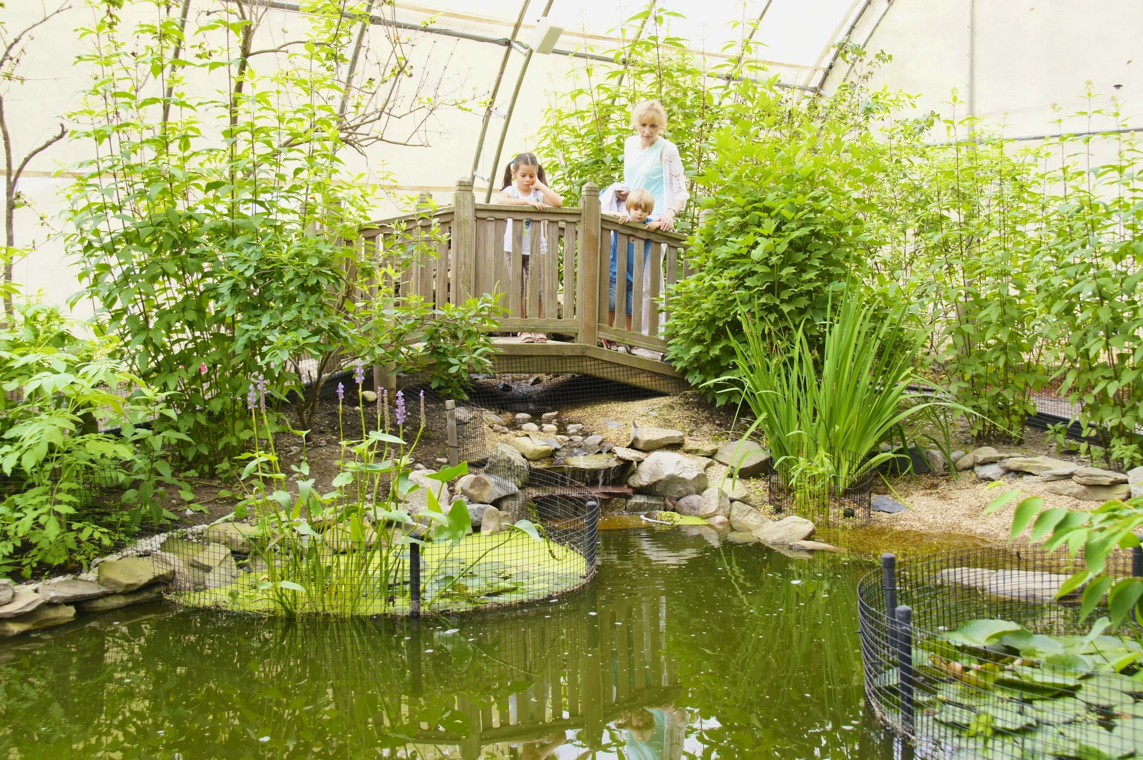 DSC02419 - Version 2.jpg