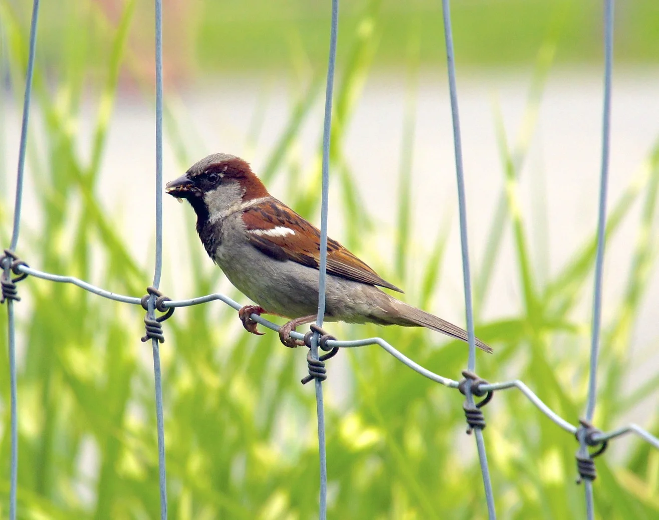 DSC02440 - Version 2.jpg