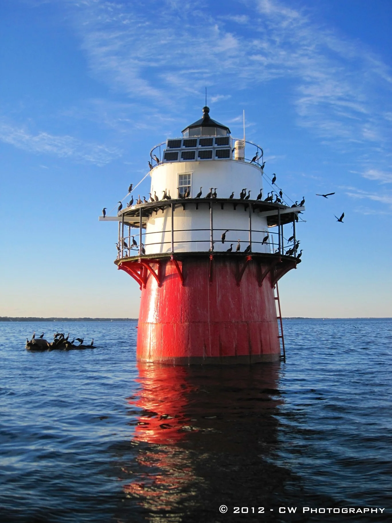 Bug Light
