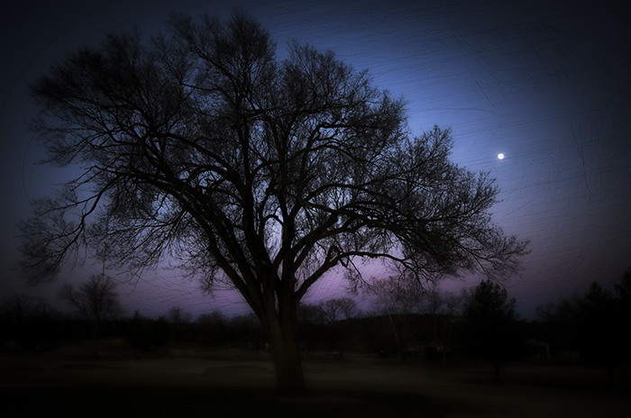 Pink gowns the night sky