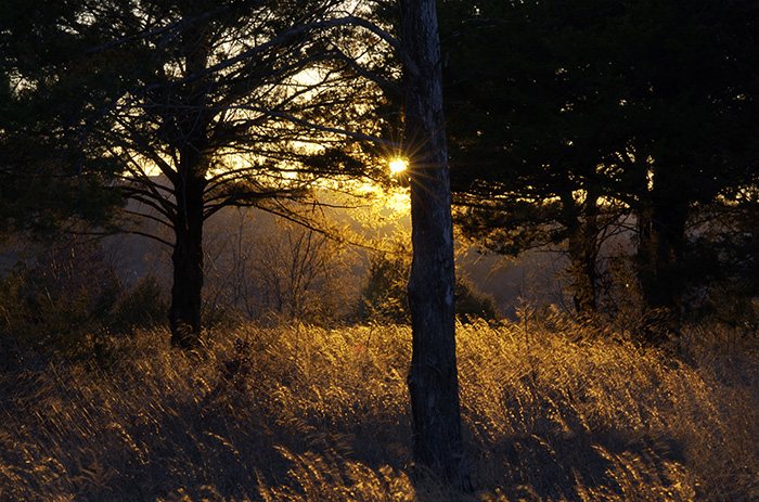 Golden Hour