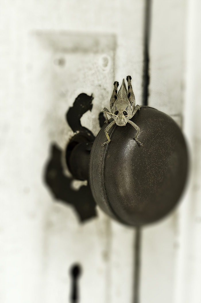 What's the password?