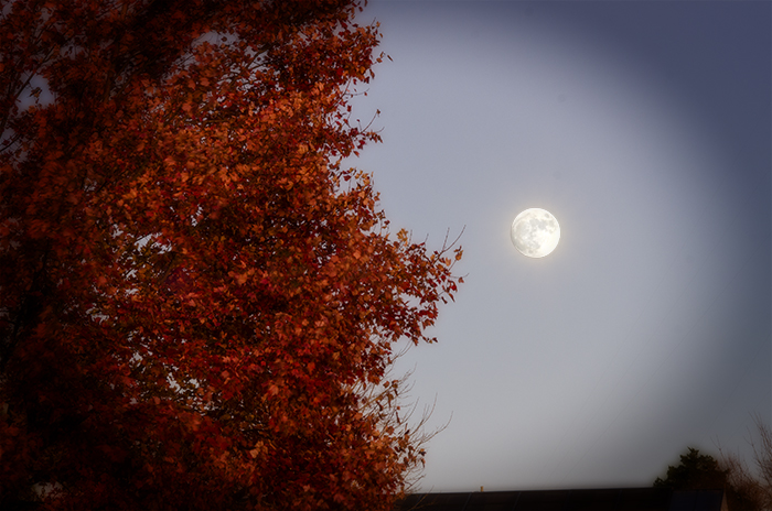 Early autumn moon