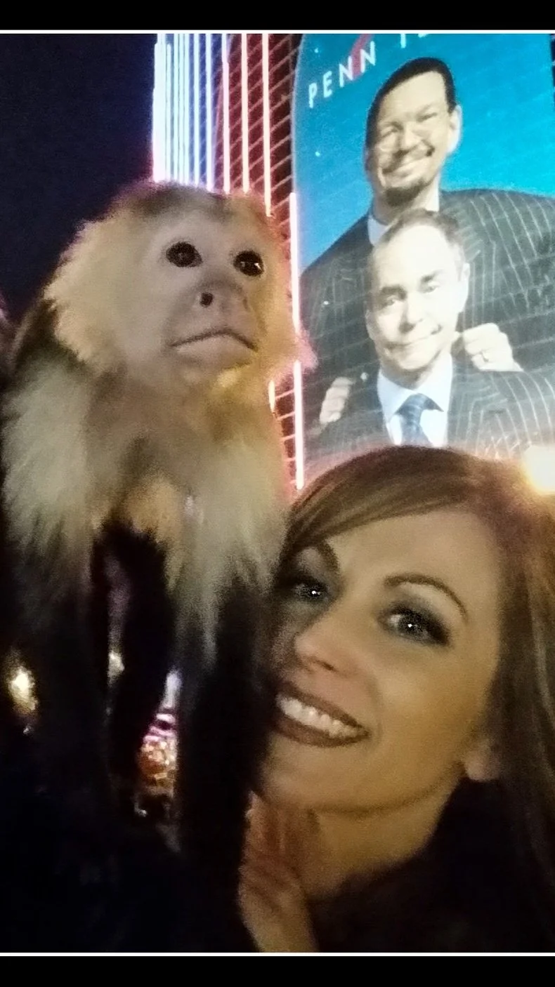 Penn &amp; Teller and My Monkey Chaos