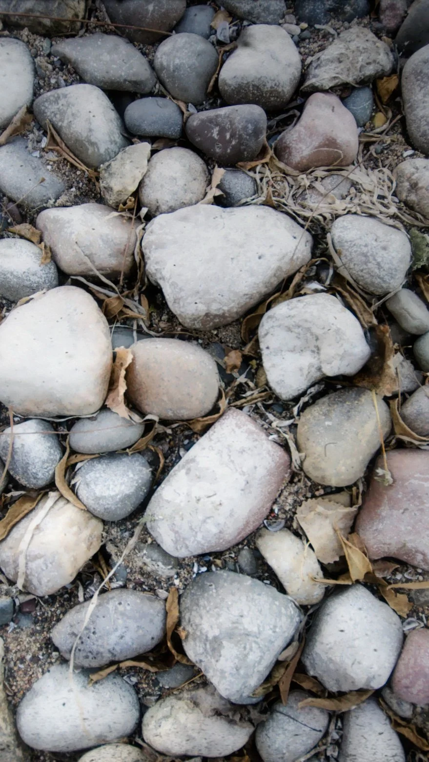Written in Stone