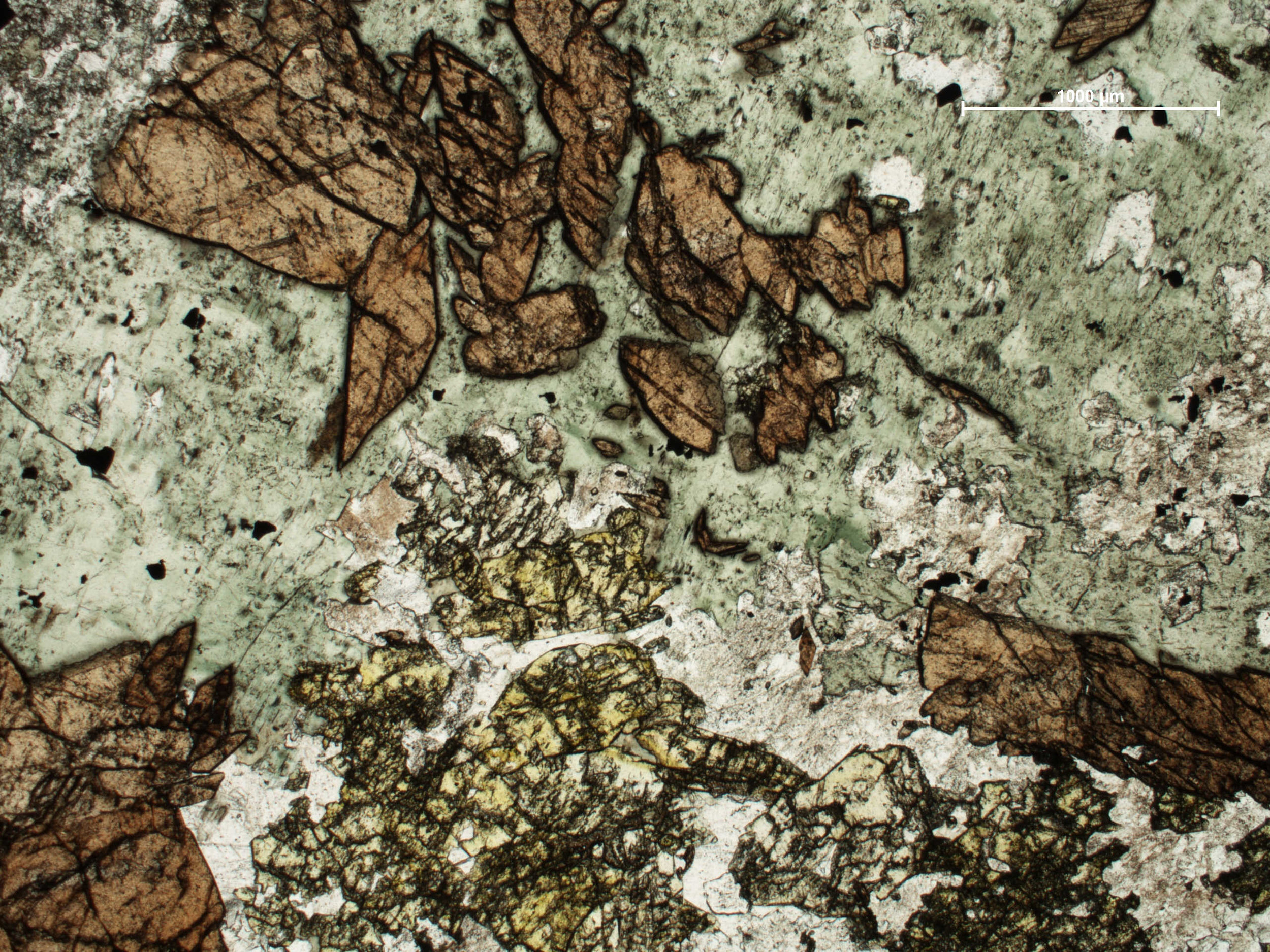 798 x2.5 ppl actinolite epidote and titanite feldspar and carbonate.jpg