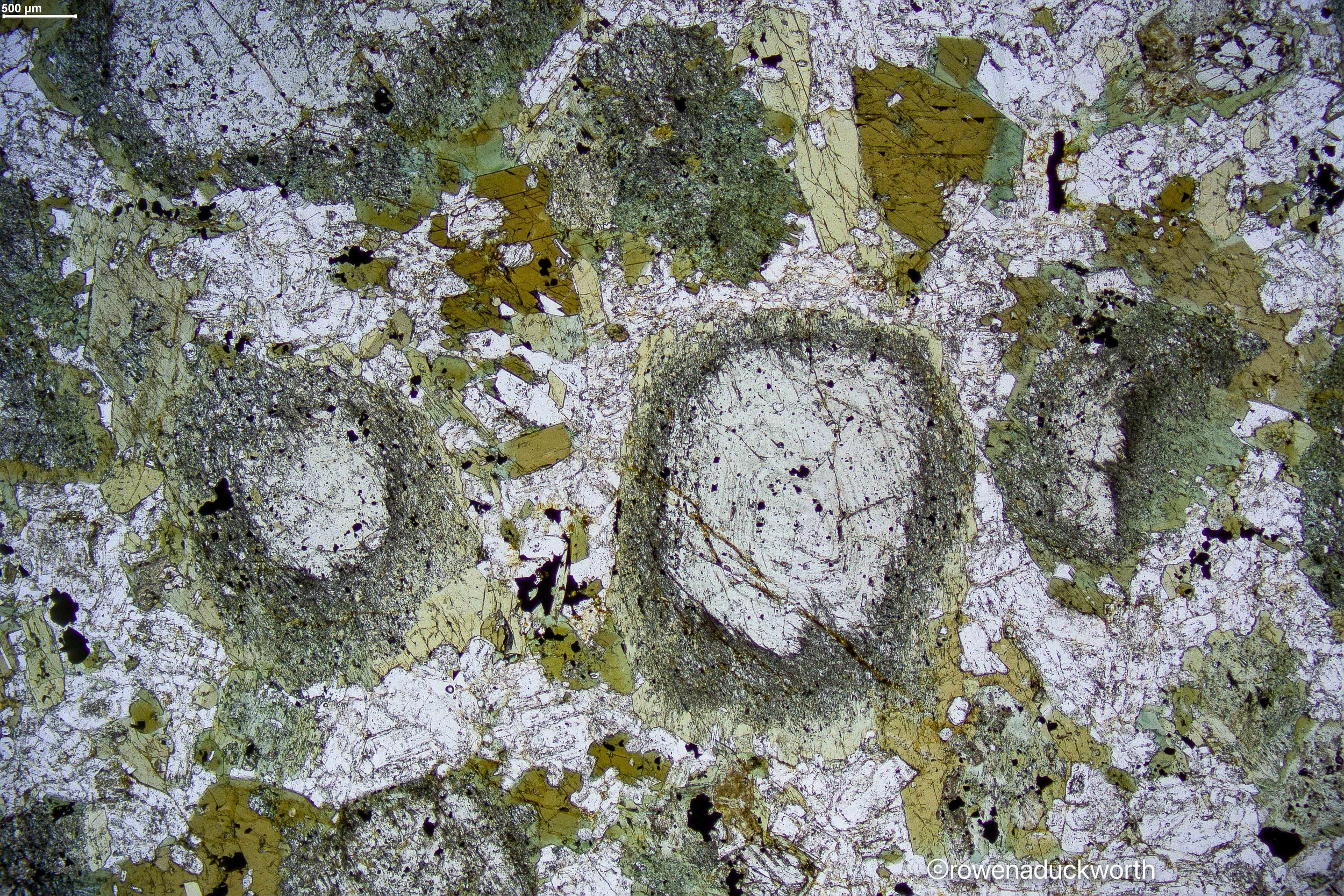 016 x2ppl cpx and hblende in plag-24-11-28-20-38-27-967.jpg