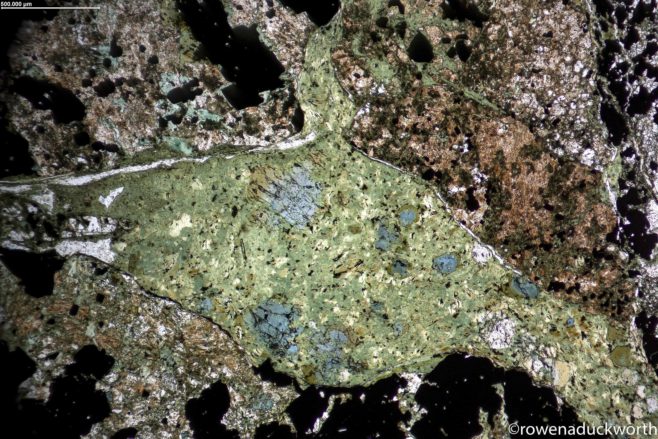 09-03 x5 ppl tourmaline in chlorite veinx-23-01-05-20-13-52-925.jpg