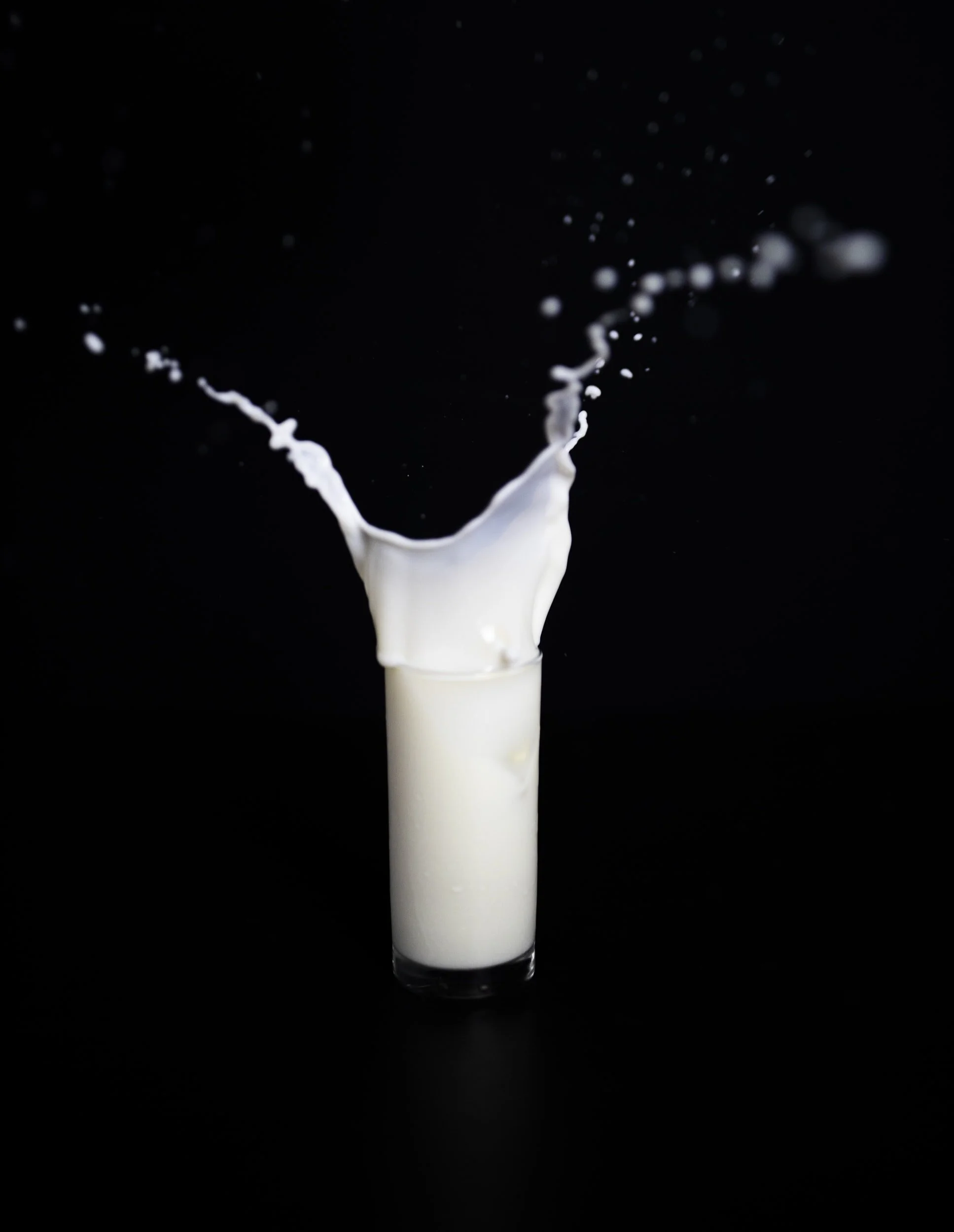 Conflicting Guidance: Importing Finished Products Containing Milk Ingredients