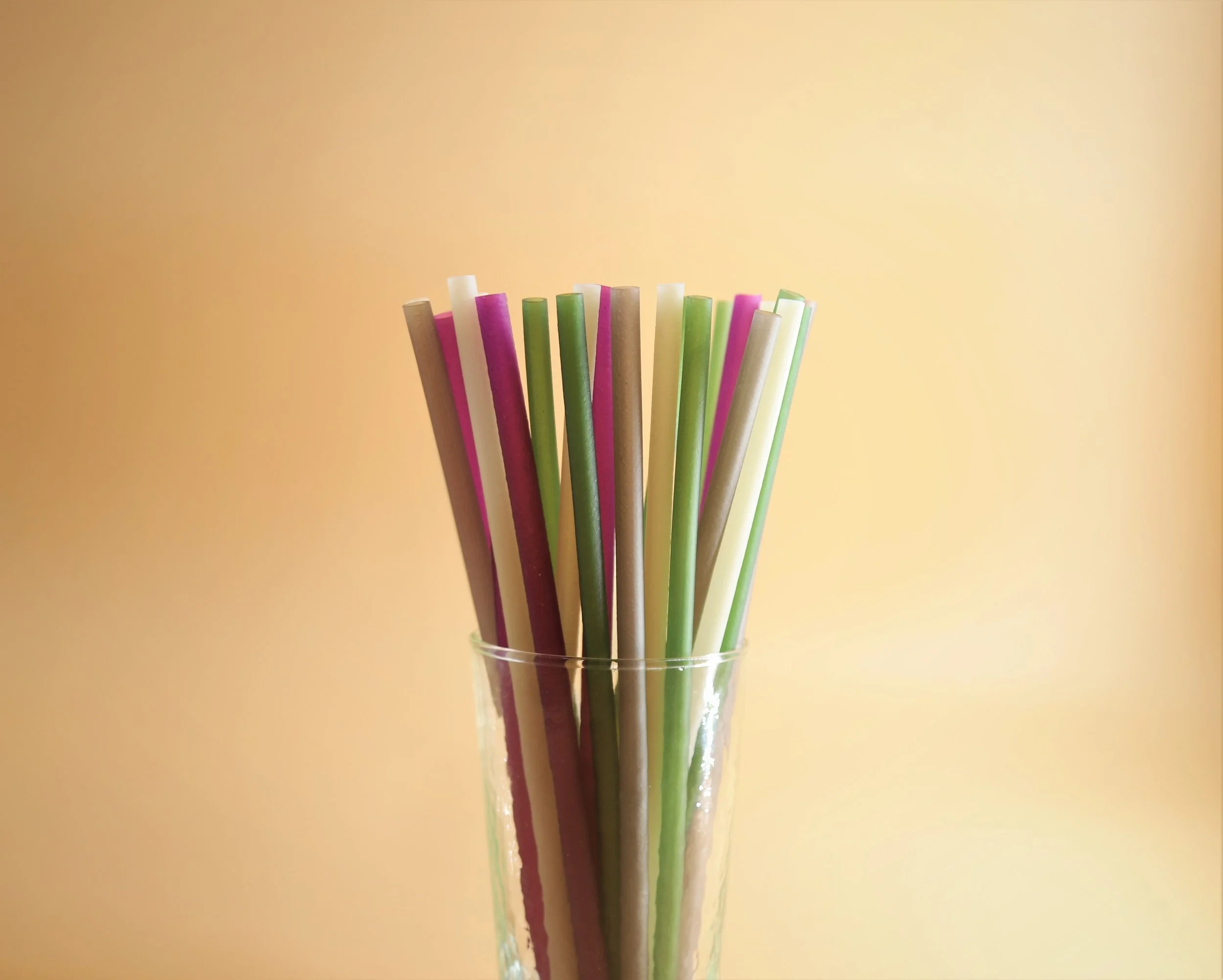 The Ban of Plastics in Canada: What it Means for Food Value Chain Manufacturers