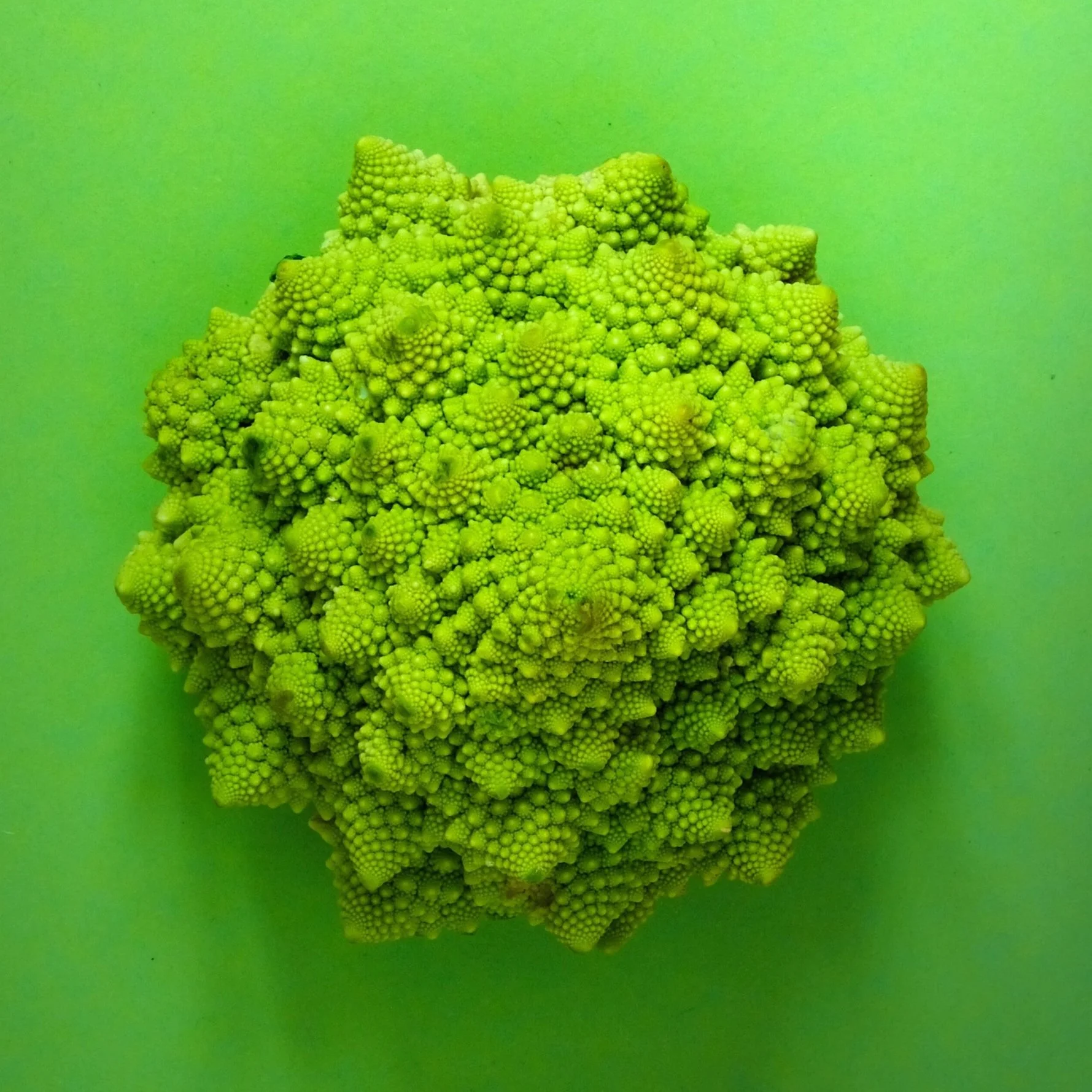 GSJ&amp;Co's Annual Review of Food Law in Canada