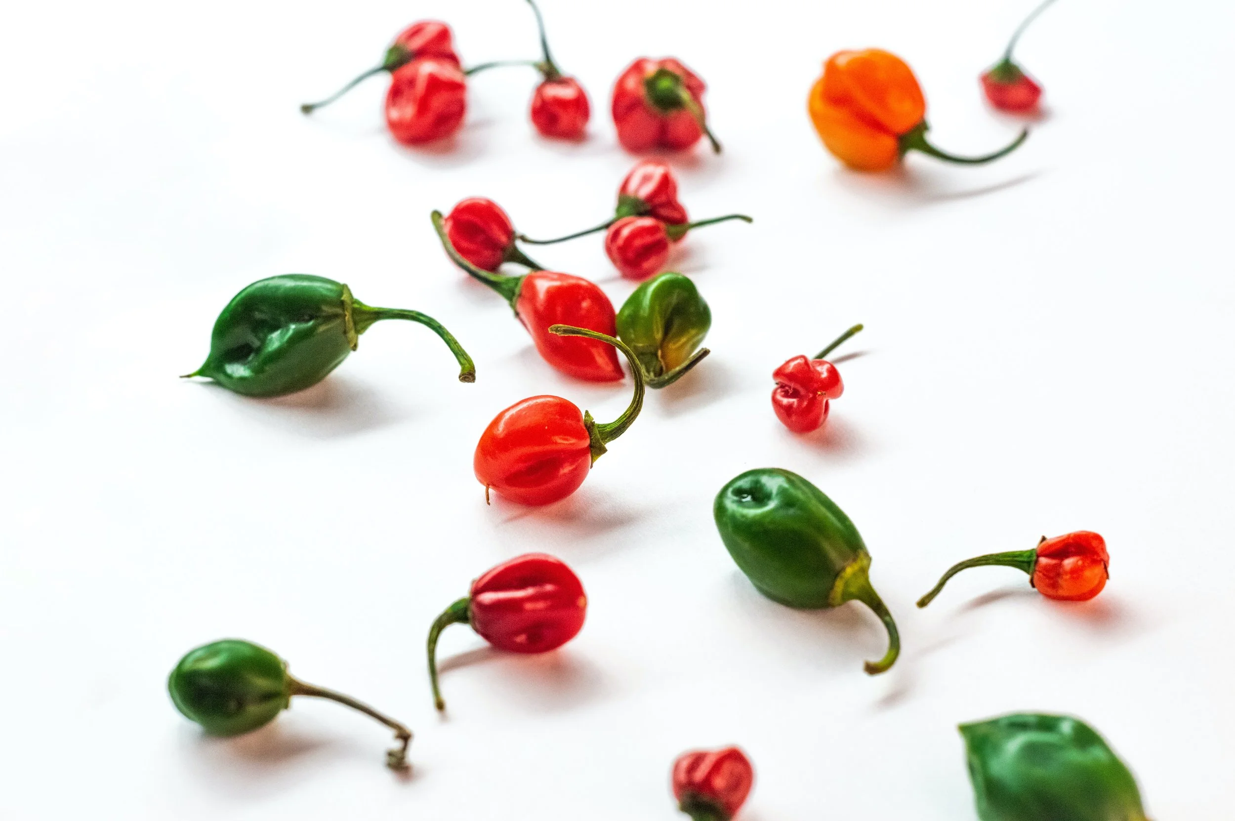 Canada and Mexico Agree to Organic Equivalency