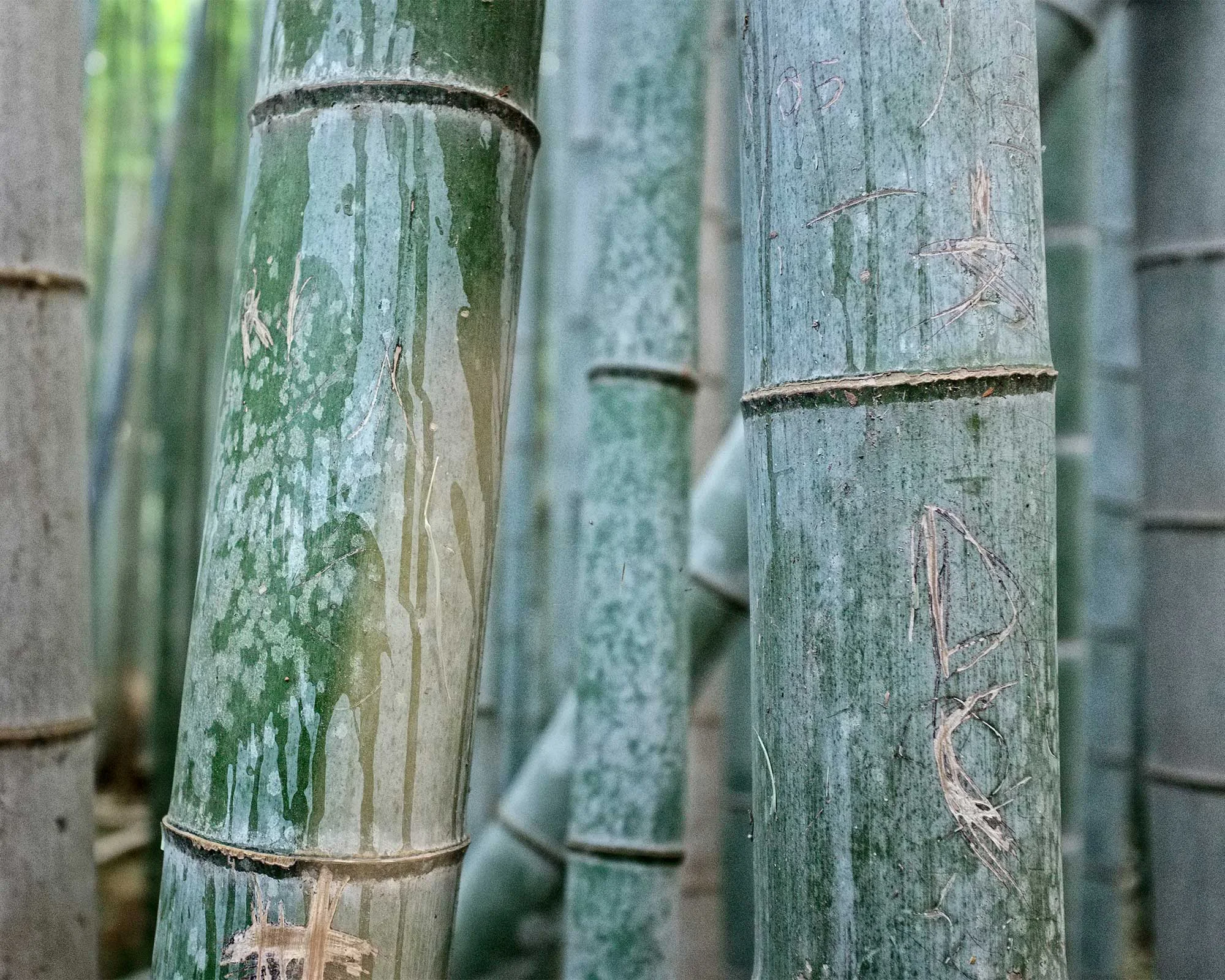 JAPAN PART 1 // DECEMBER 2017