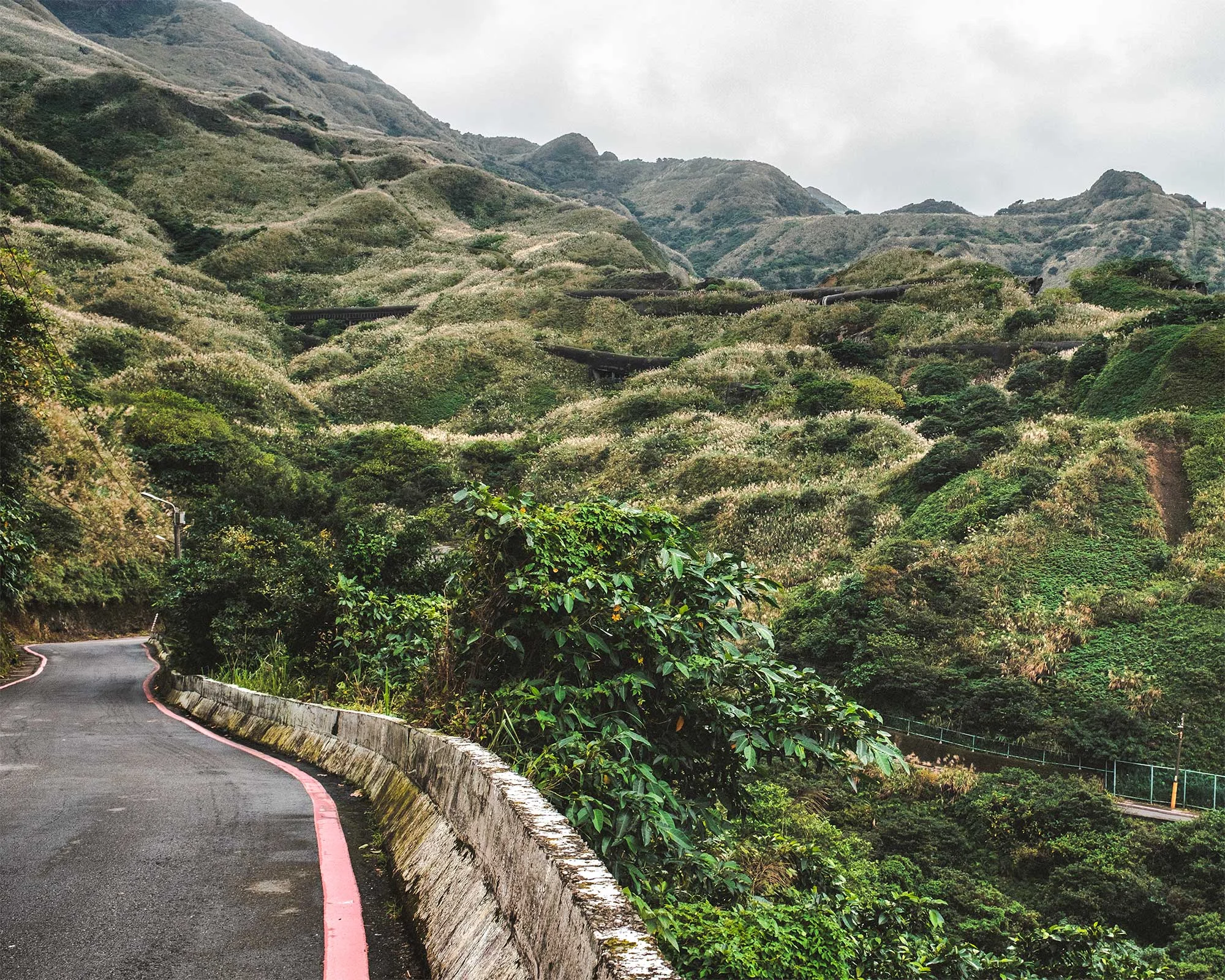 JIUFEN // NOVEMBER 2018