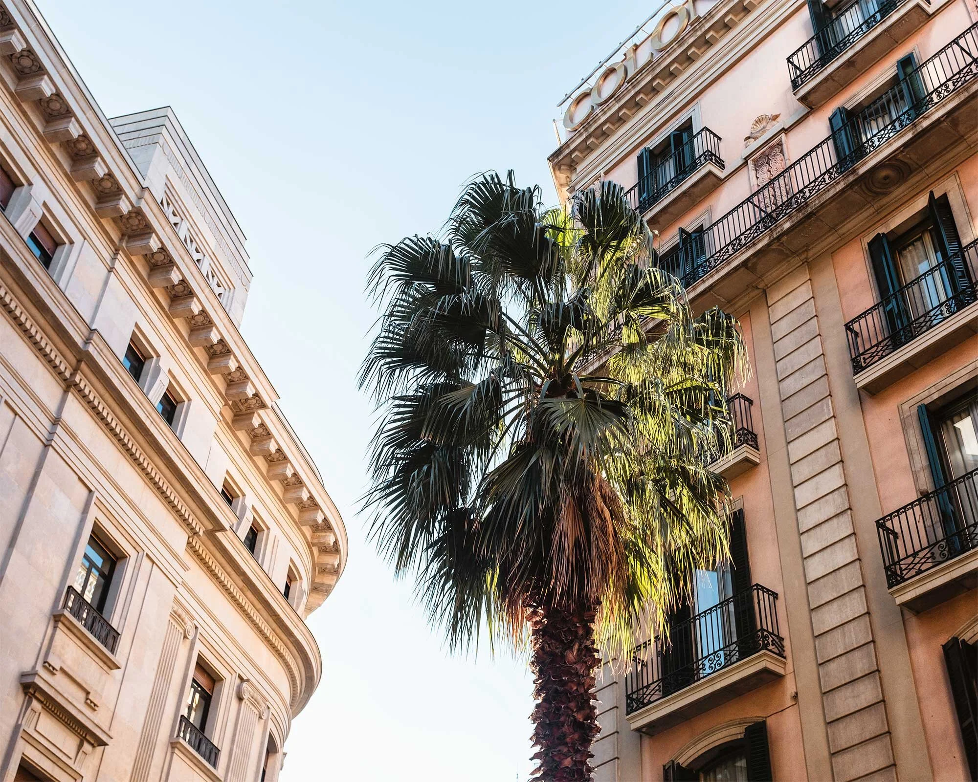 BARCELONA // DECEMBER 2019