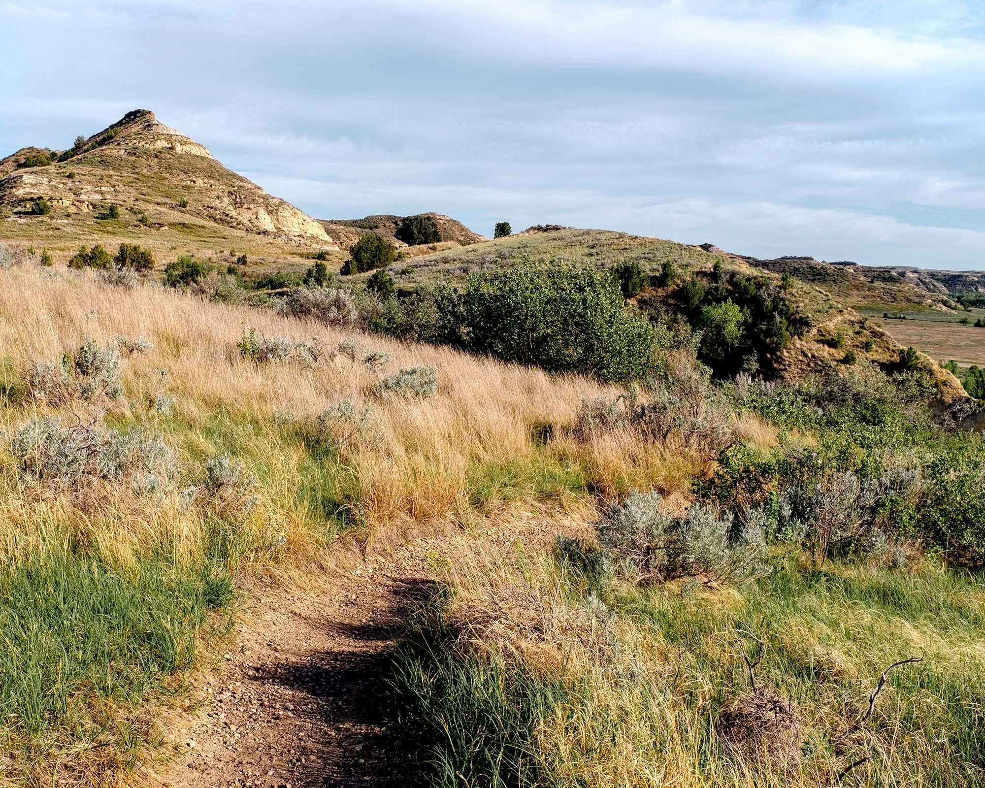 NORTH DAKOTA // JUNE 2021