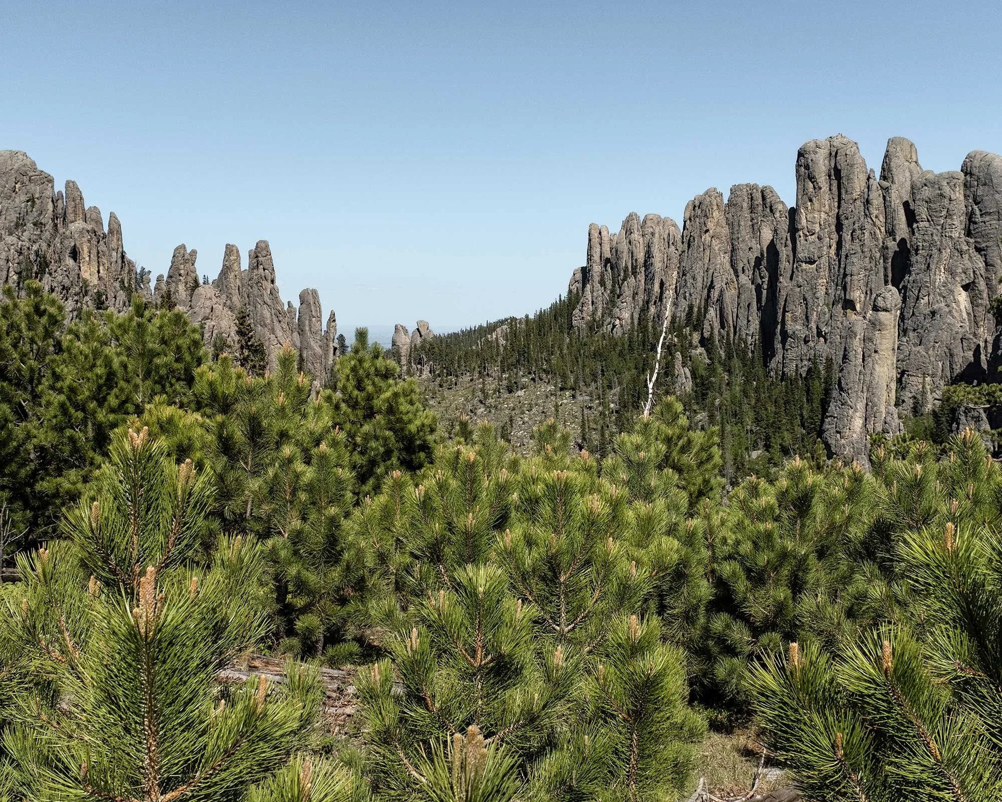 BLACK HILLS // JUNE 2021