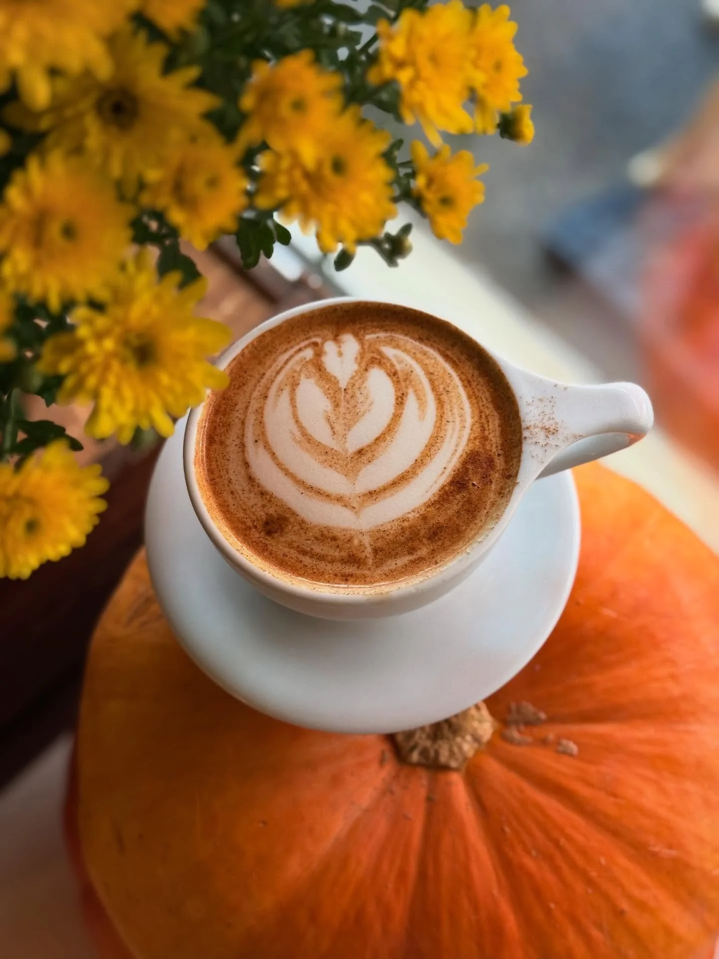 Rainy day ahead? Come in and enjoy our new Apple Pie Latte! 🍎🥧☕️

A delicious syrup made from locally sourced apple cider topped with apple pie spice. Only at Haute Coffee!