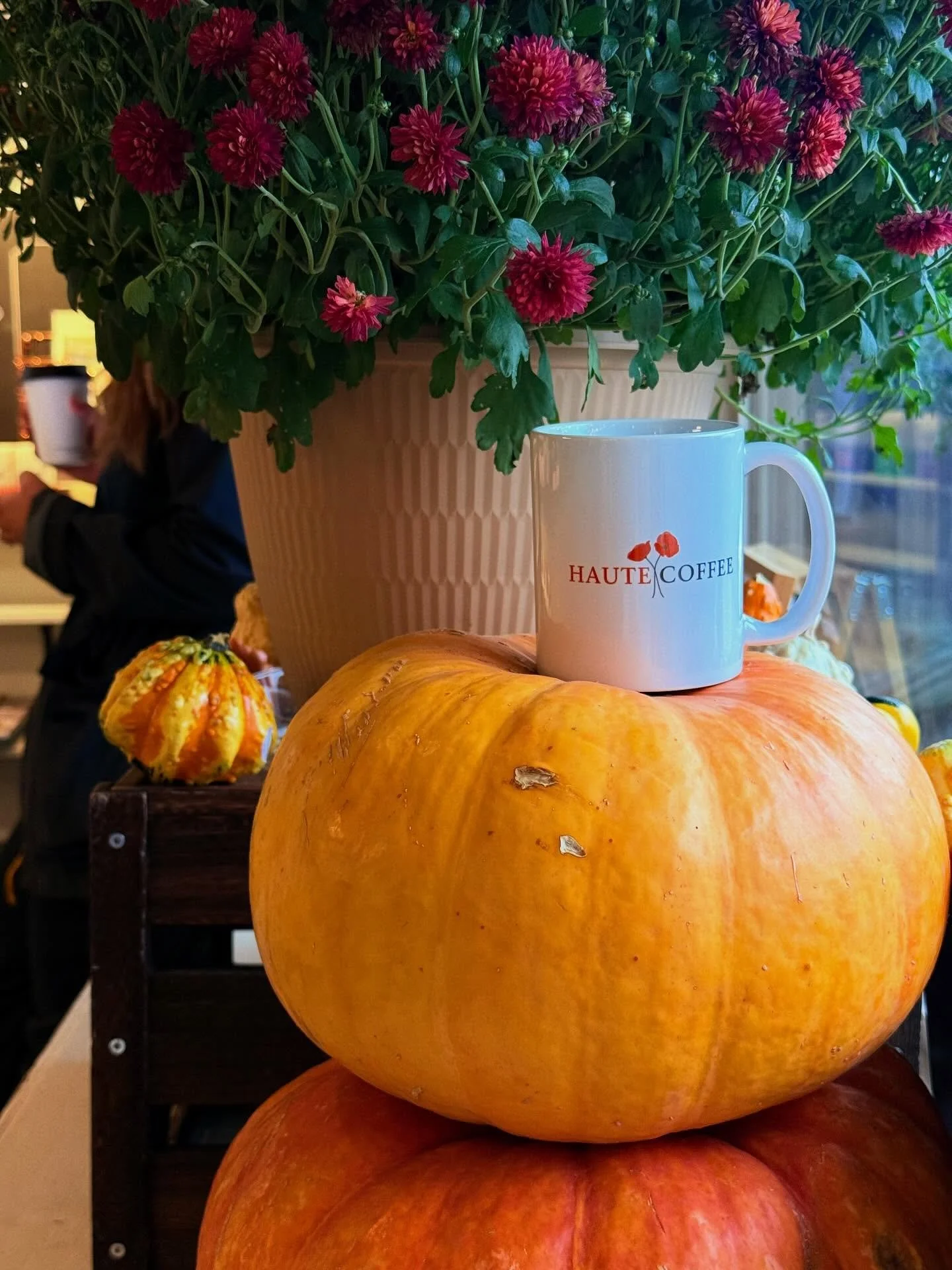 A new piece of merch has entered the building! Haute Coffee mugs just in time for the cold season. Get them while supplies last ☕️🫶🏼😊