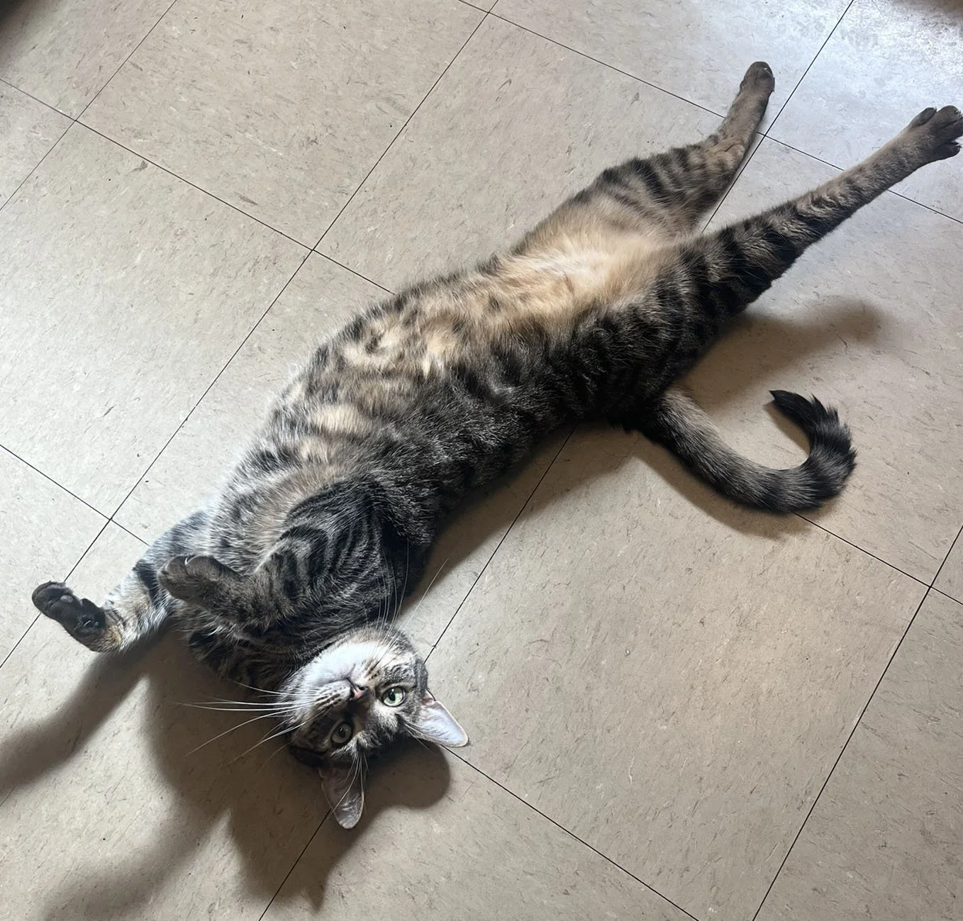 Moose Wilson 