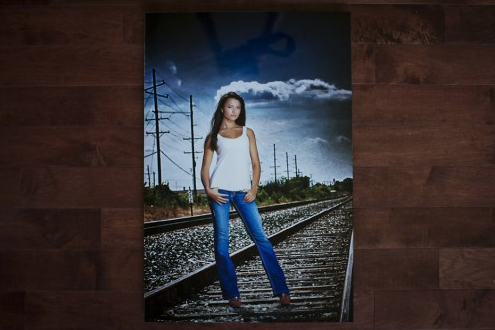 Metal Print - 20x30