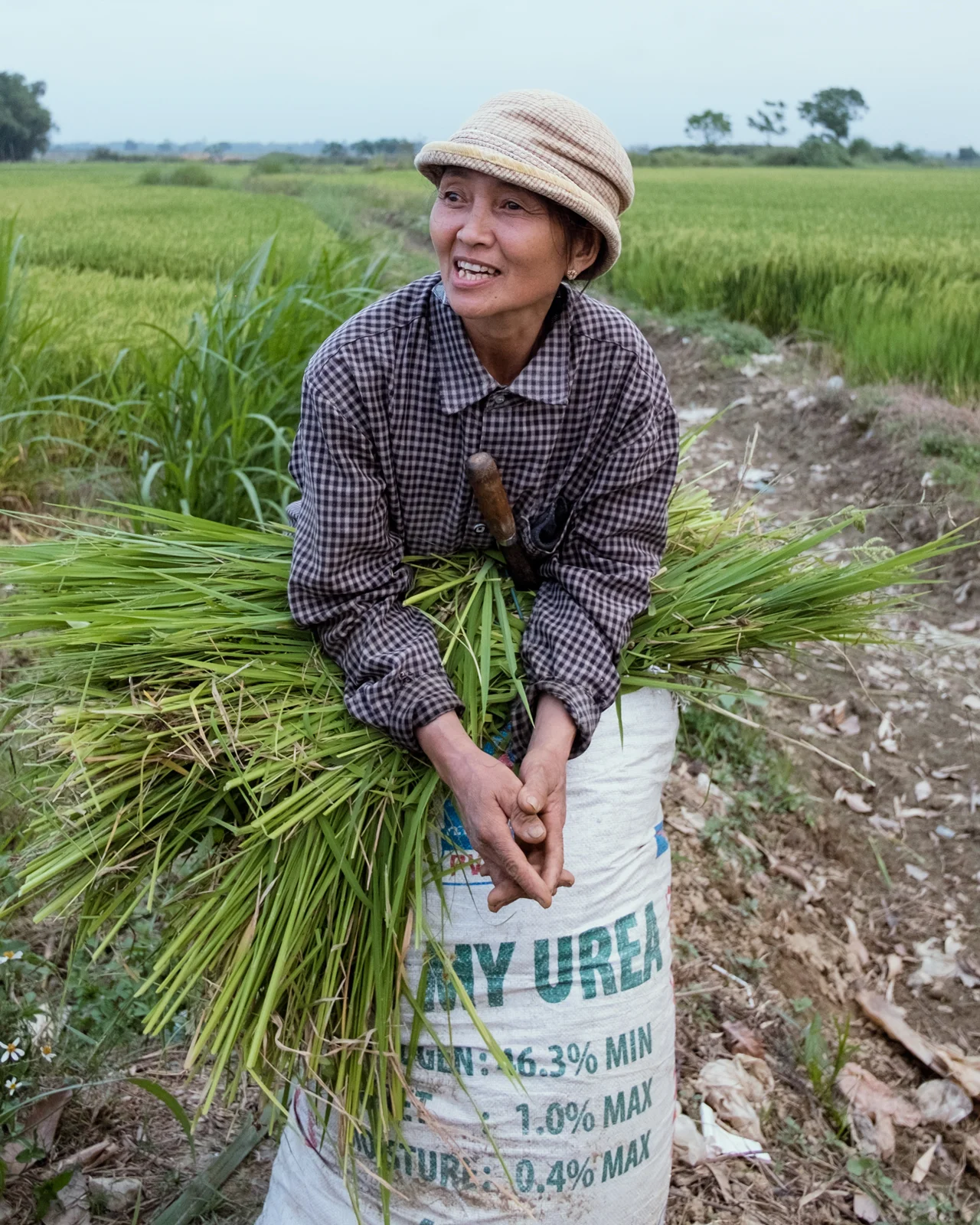 cathgrey-farmingvillage-2017.jpg