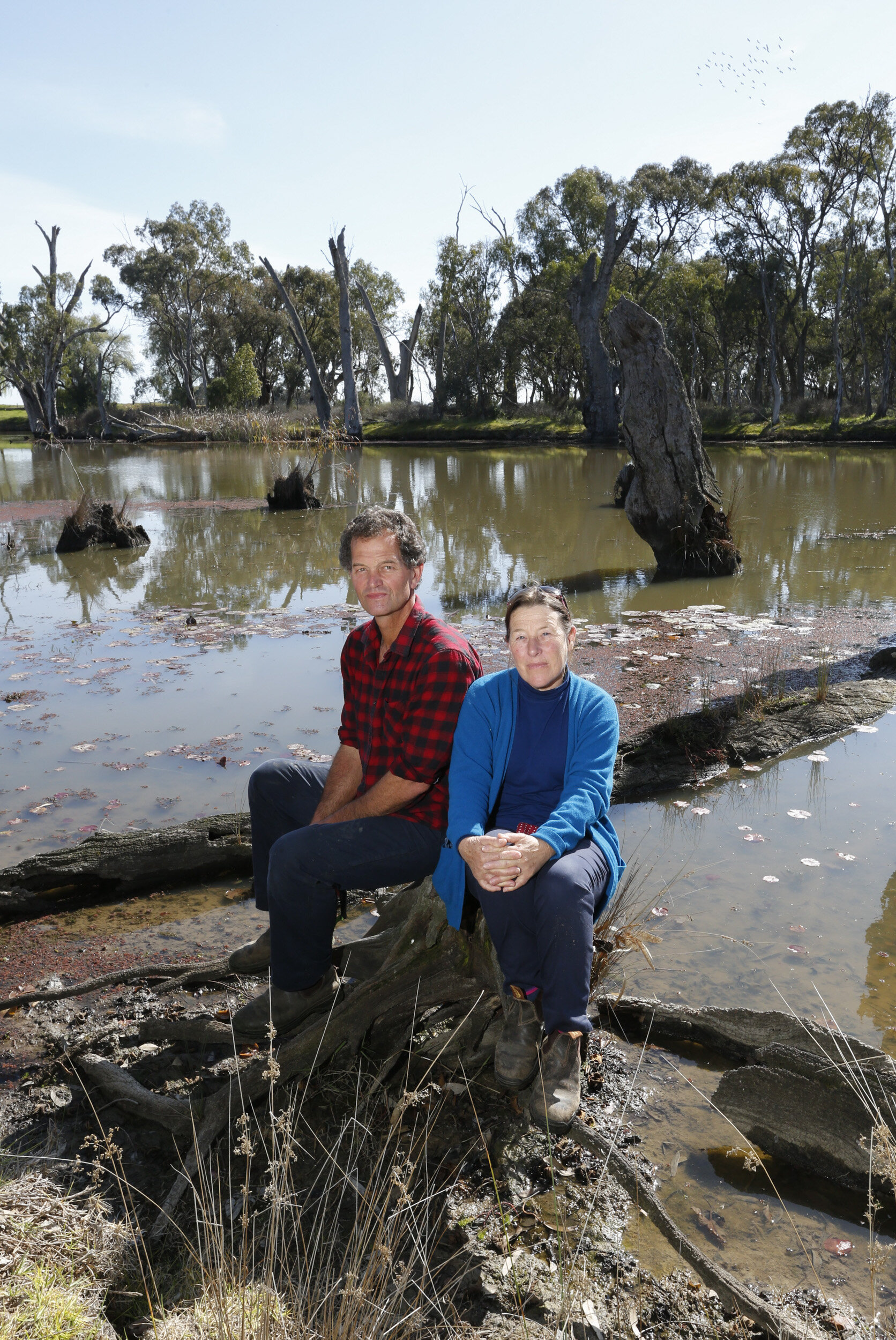 gunbower erosion - cath grey 01.jpg