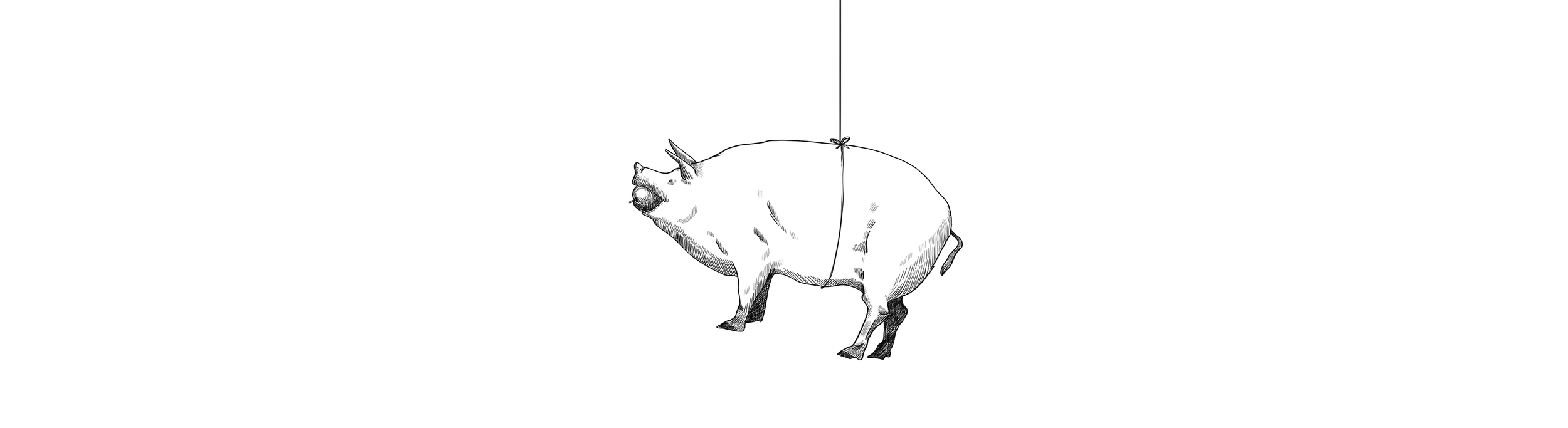 pagan-web-banner.png