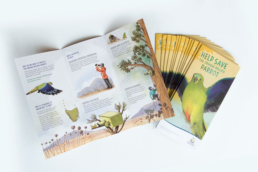 Orange-Bellied-Parrot.png