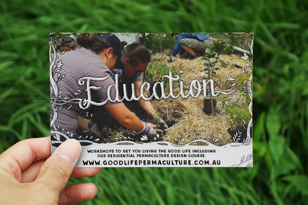 education mockup v2.jpg