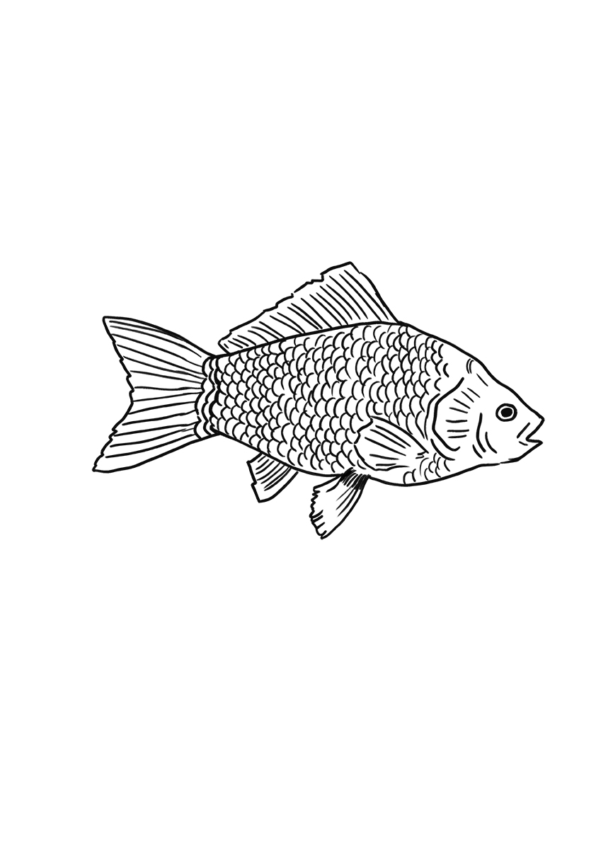 pashma fish tattoo copy.jpg