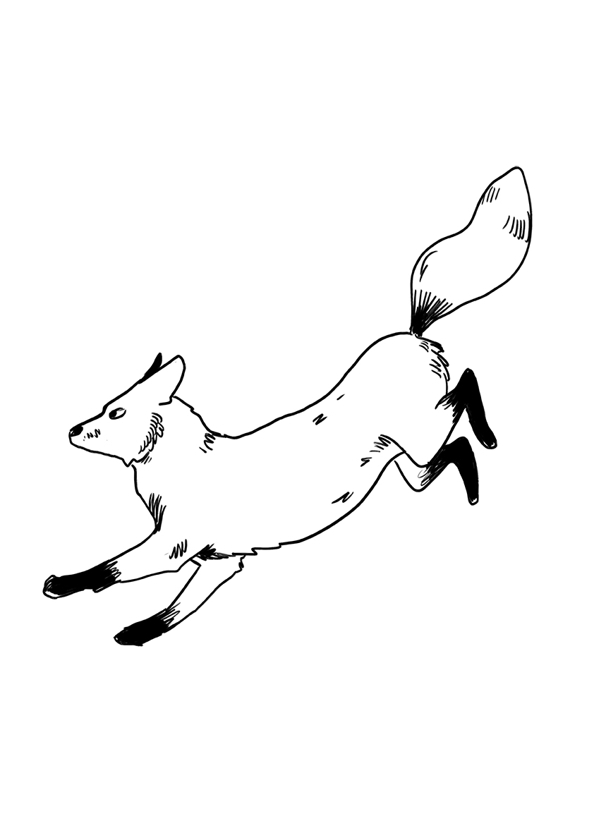 pashma fox tattoo copy.jpg
