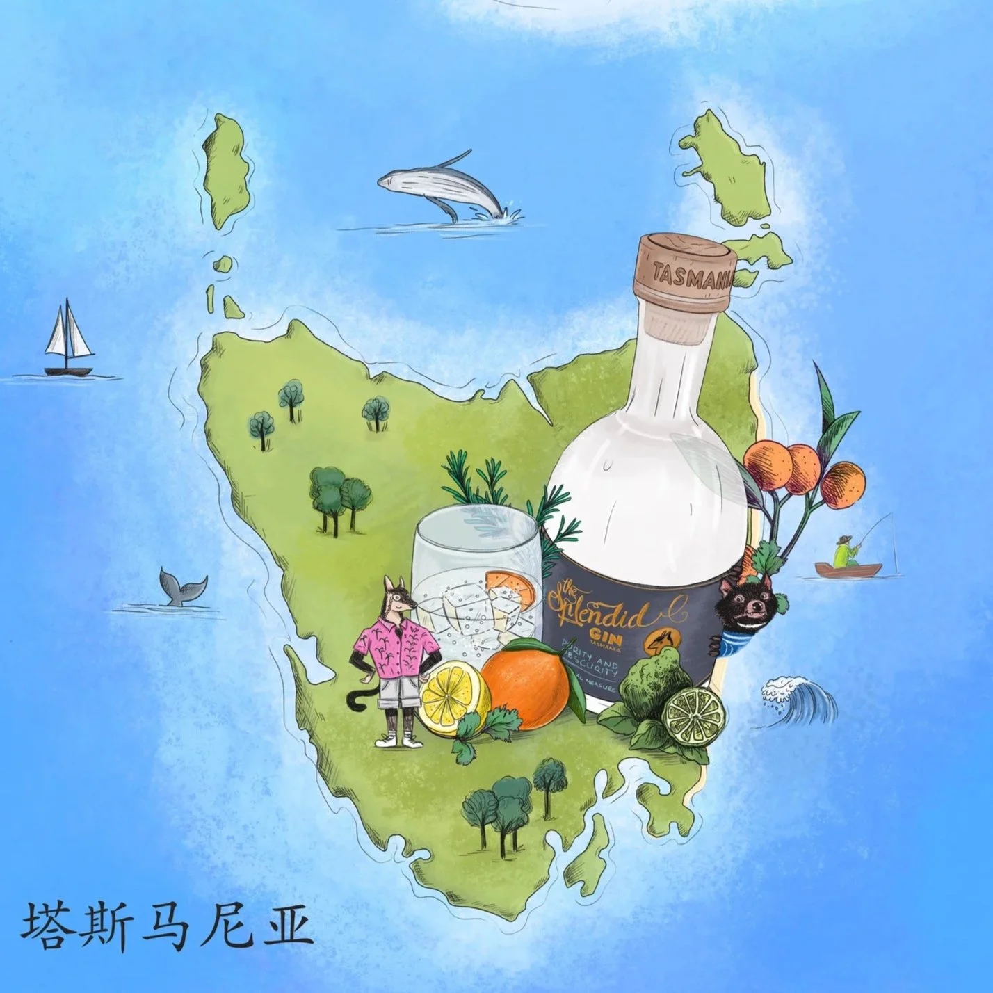 TSG_MAP illustration.jpg