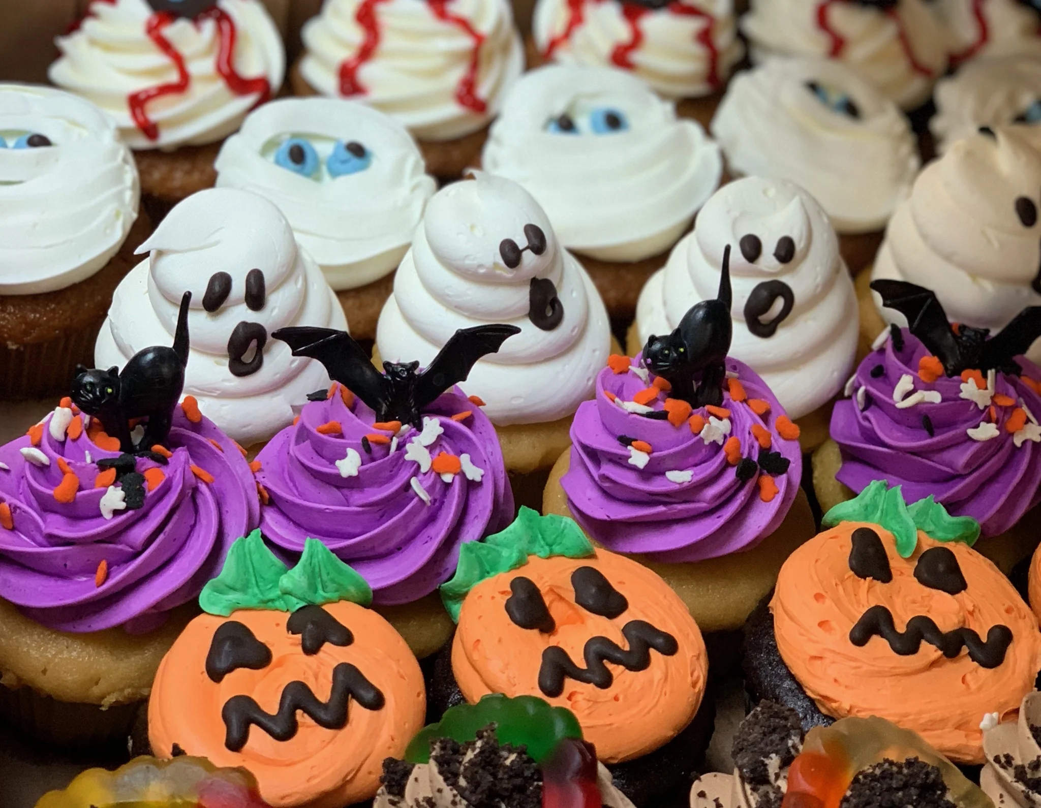 Halloween Cupcakes 005.jpg