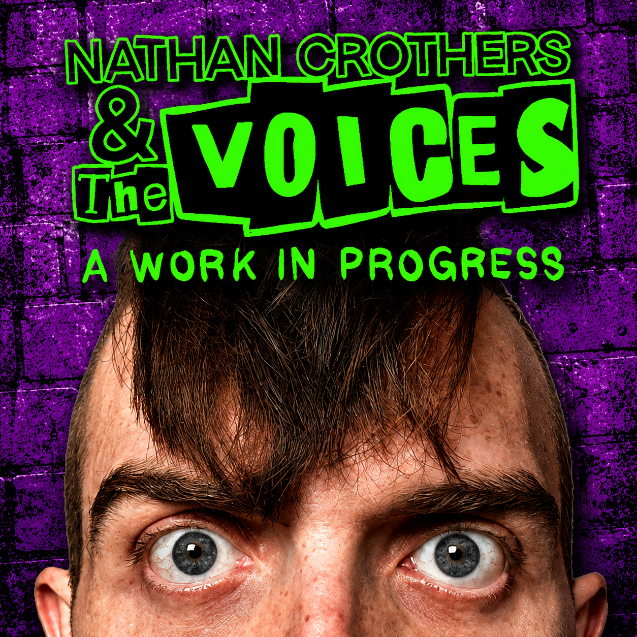The Bitter Fringes : Nathan Crothers & the Voices, A Work In Progress