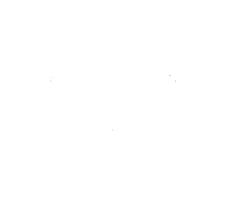 Arrow White.png