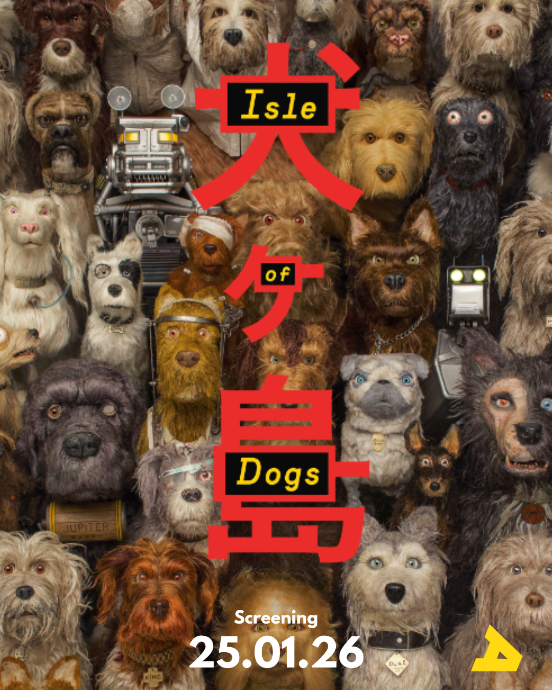 NSIFC New dimmensions (1).png