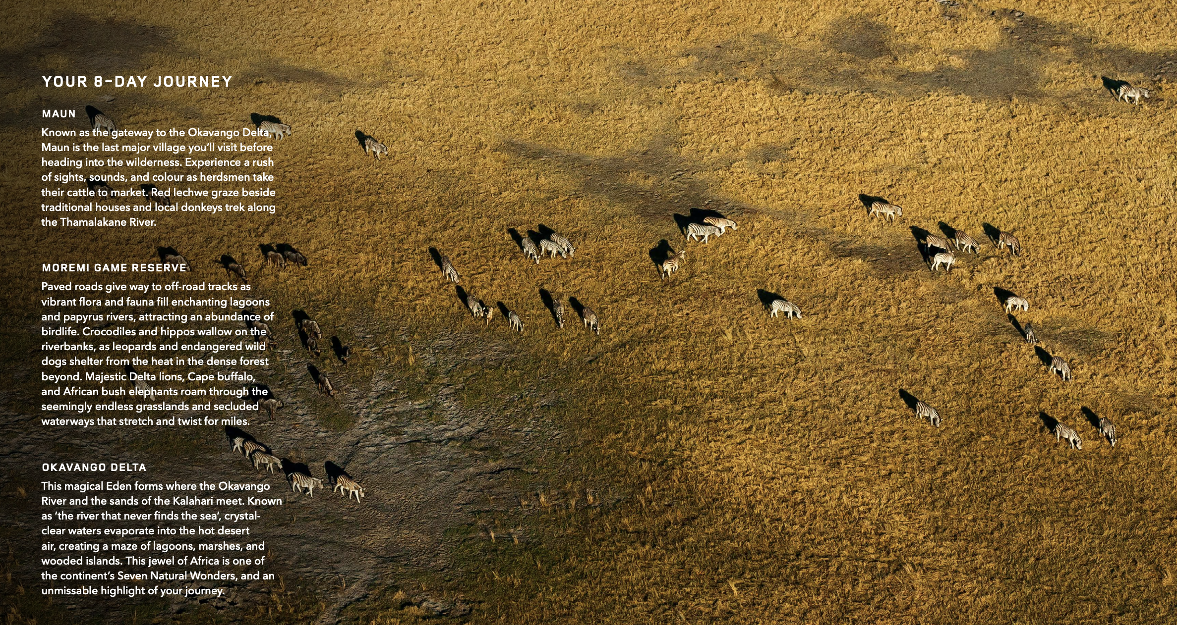 Screenshot 2026-01-23 at 11.17.12.png